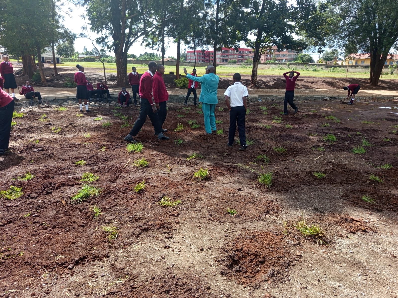 Grade 10 students planting grass on school field